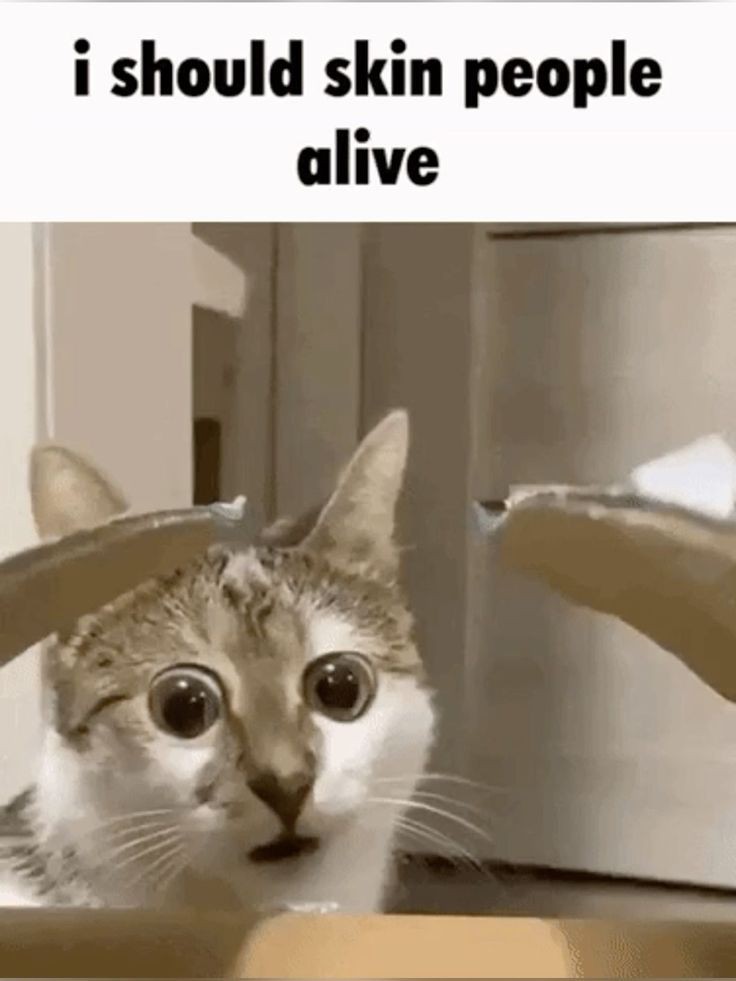 20250312 003540