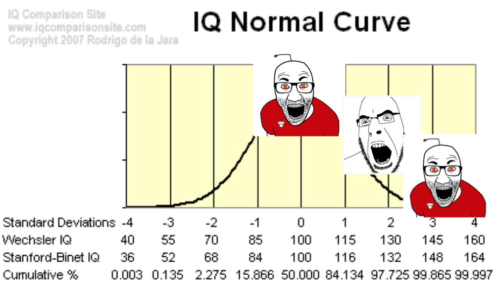 Untitled153 20250315155323