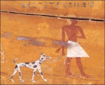 Blond egyptian