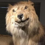Psuy