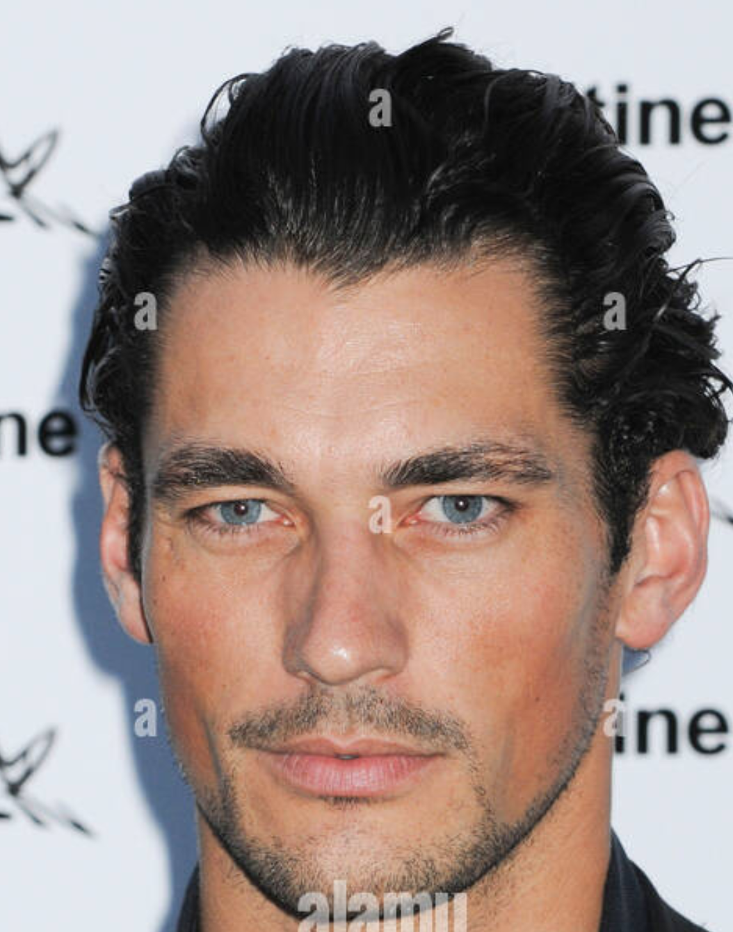 4783186 Screenshot 2025 03 15 114946