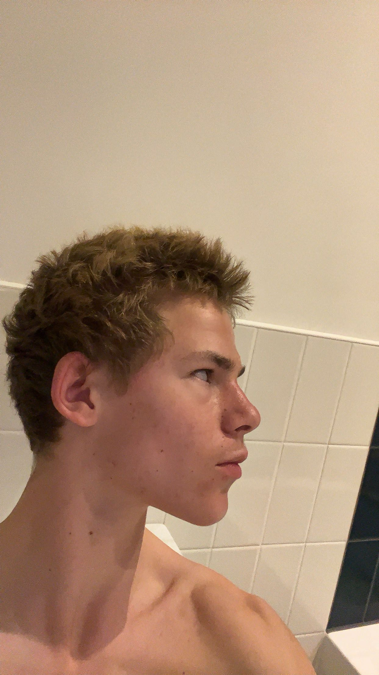 IMG 1386