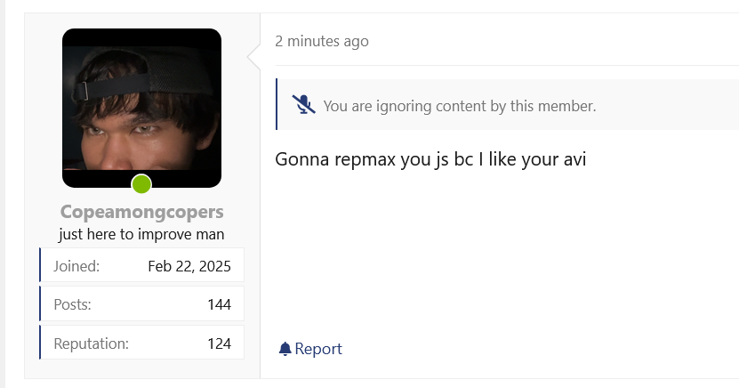 Screenshot 2025 03 18 at 00 33 37 Looksmaxorg   Mens Self Improvement  Aesthetics