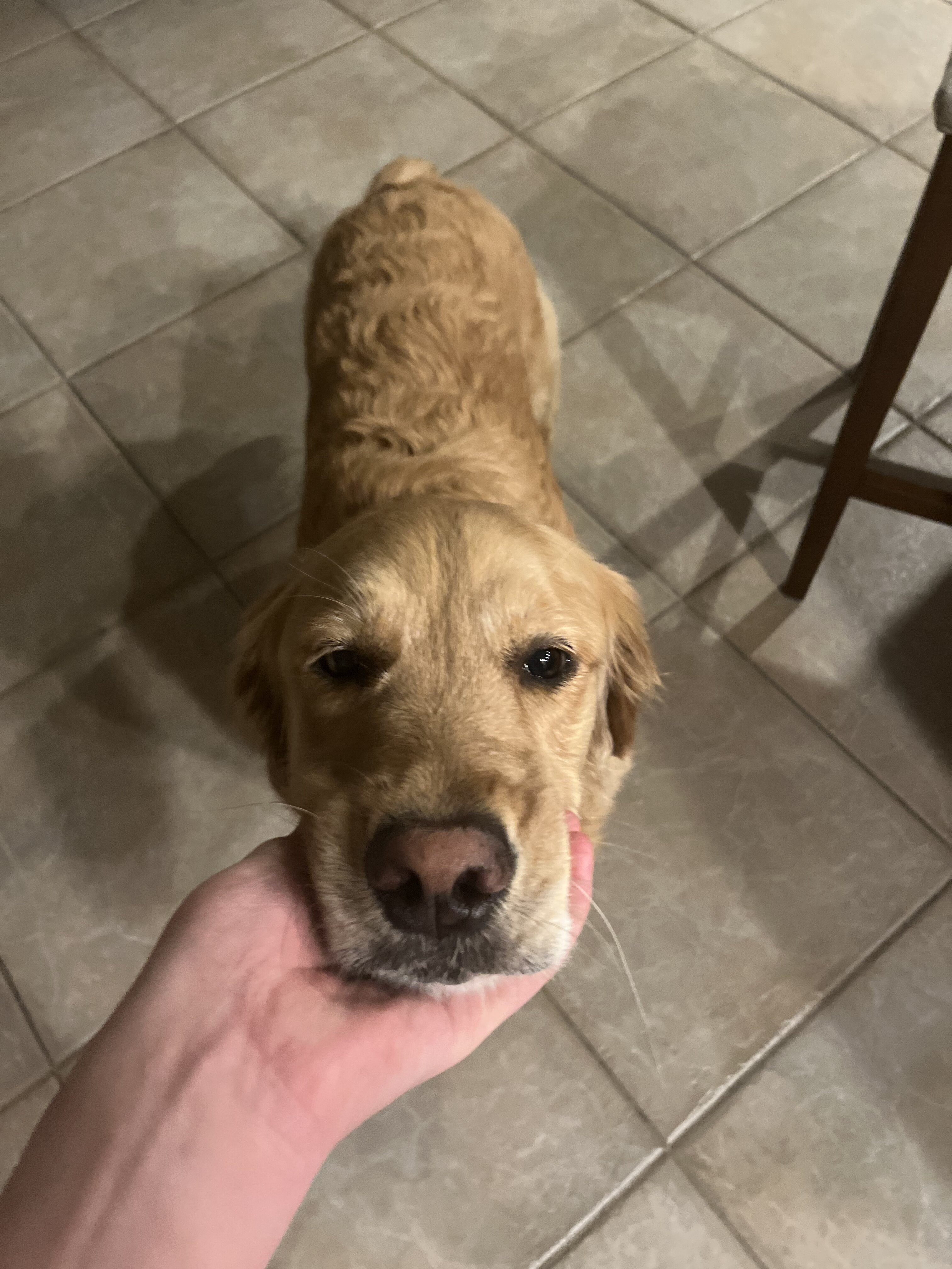 F02CED06 7211 4635 A667 C198FACB9F8D