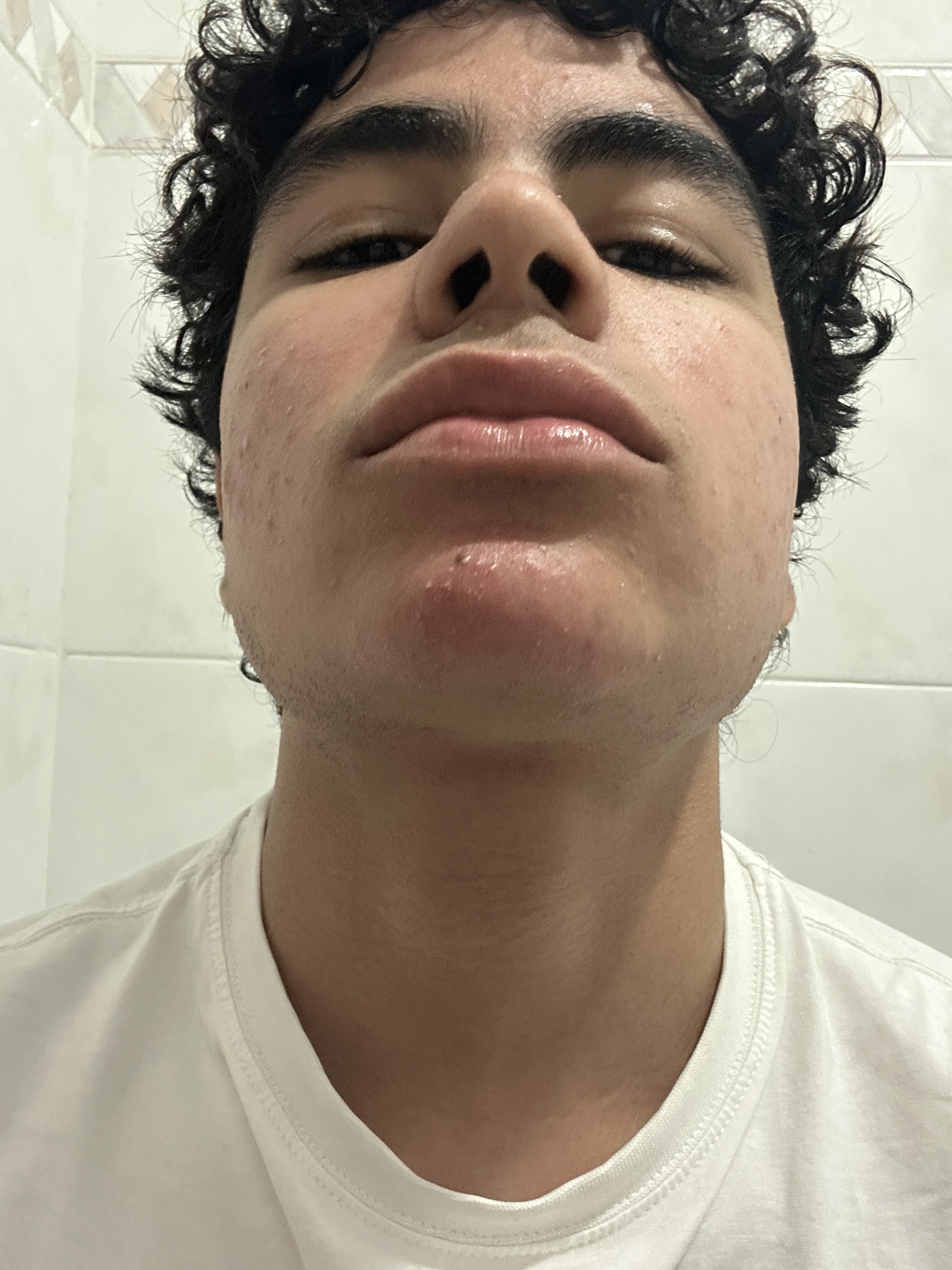 IMG 2330