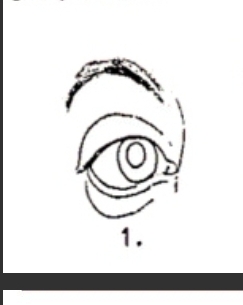 Screenshot 20250319 011212 Chrome