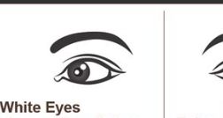 Screenshot 20250319 011152 Chrome