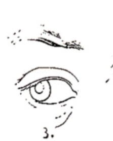 Screenshot 20250319 011334 Chrome