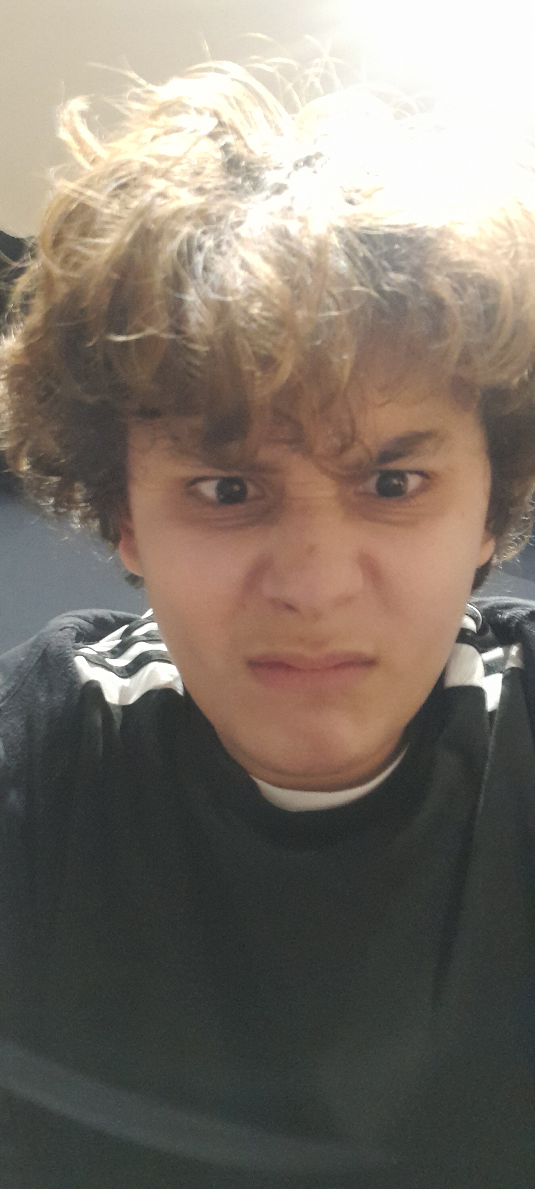 17423935558283304067582926689581