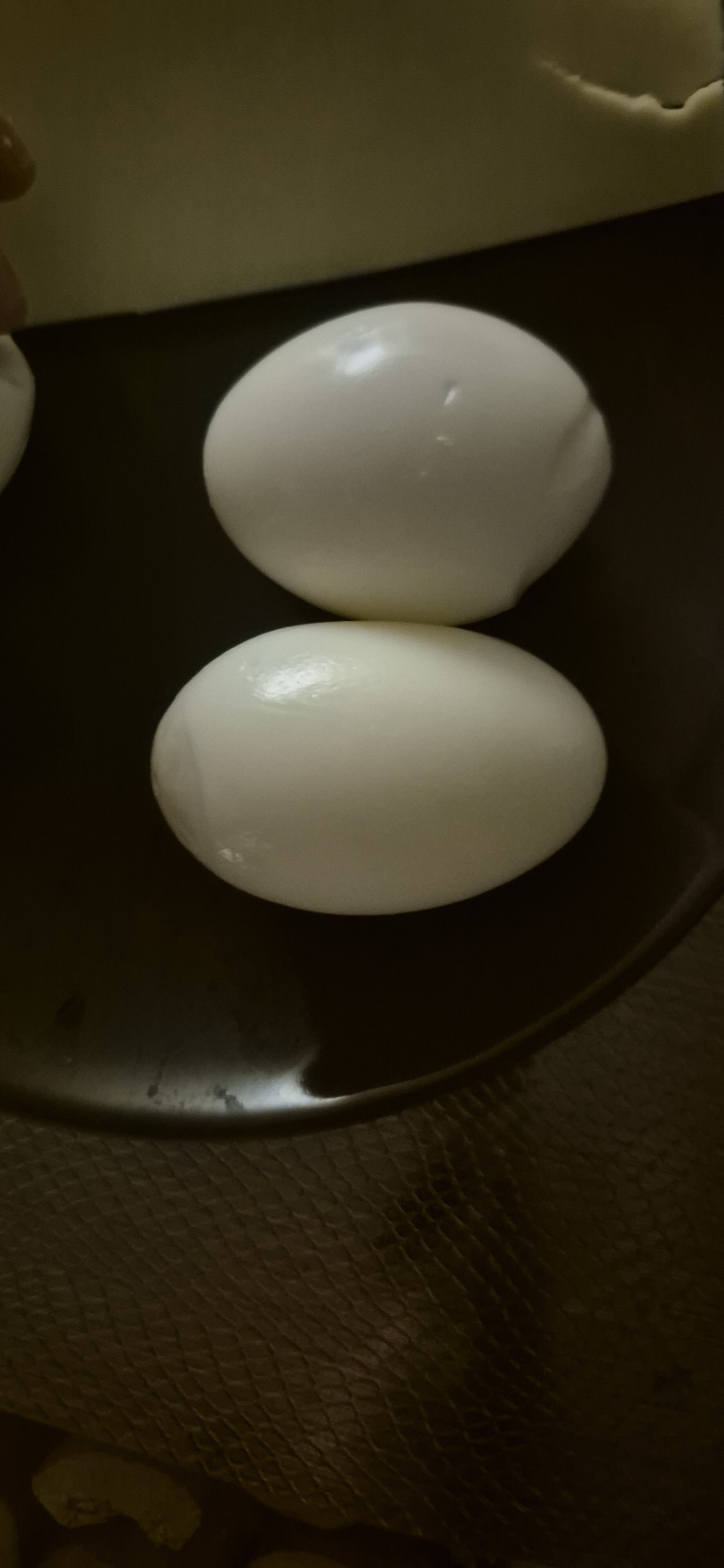 1000018004