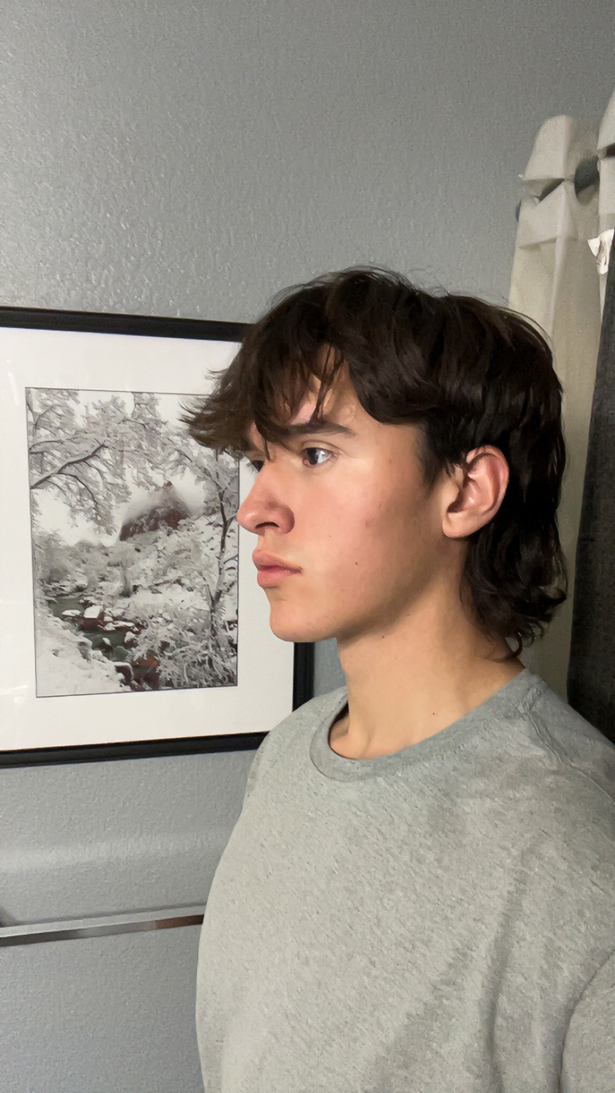 IMG 2151