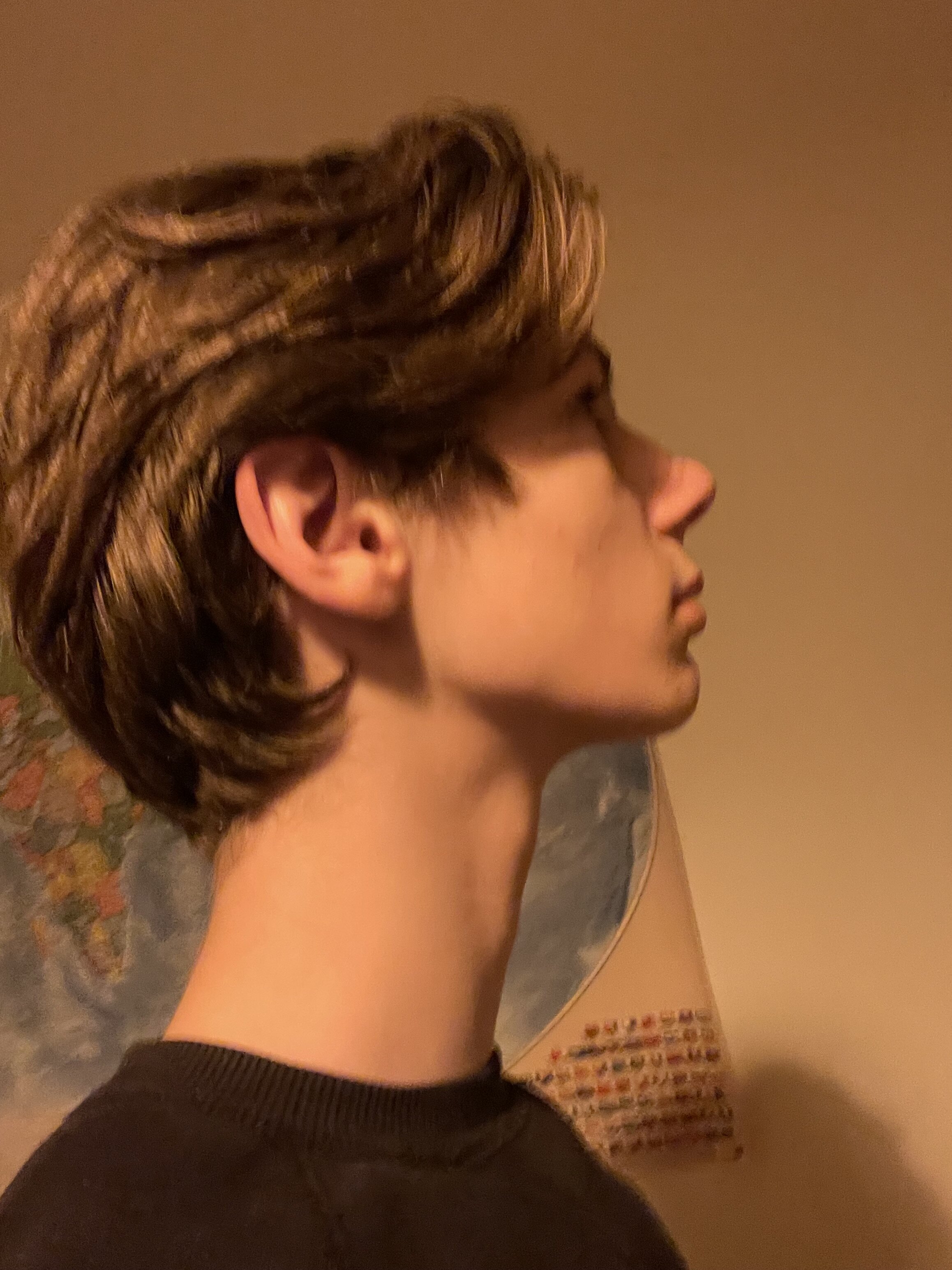 IMG 1368