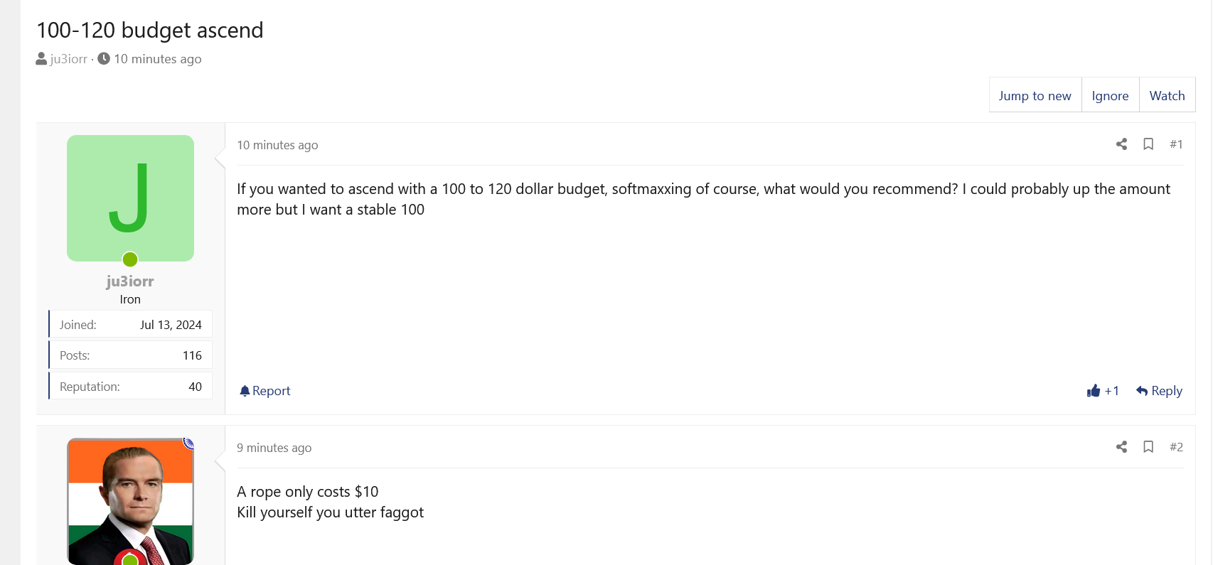Screenshot 2025 03 23 at 00 06 25 100 120 budget ascend Looksmaxorg   Mens Self Improvement 