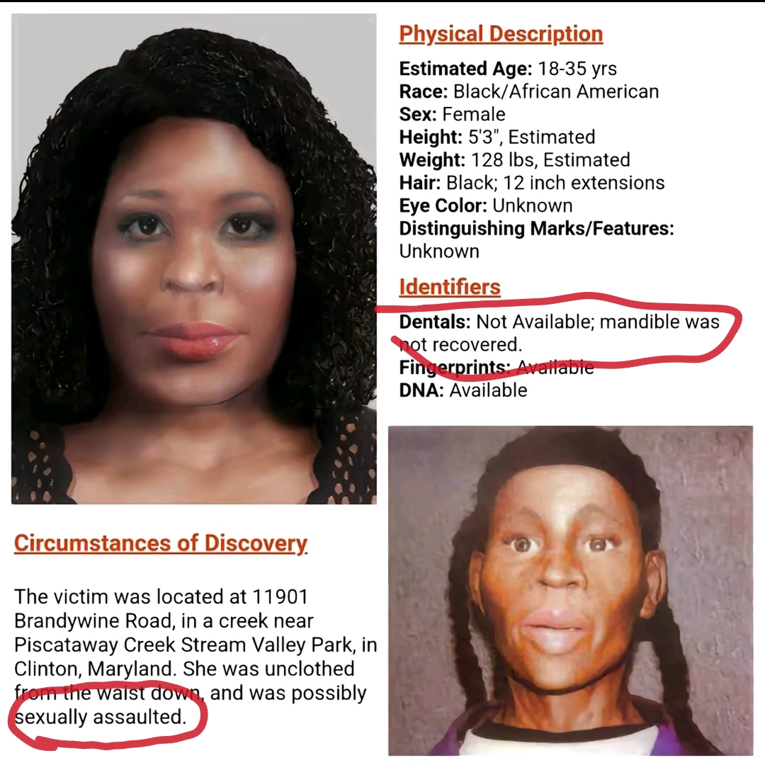 Screenshot 2025 03 23 12 36 41 147 edit comzhiliaoappmusically