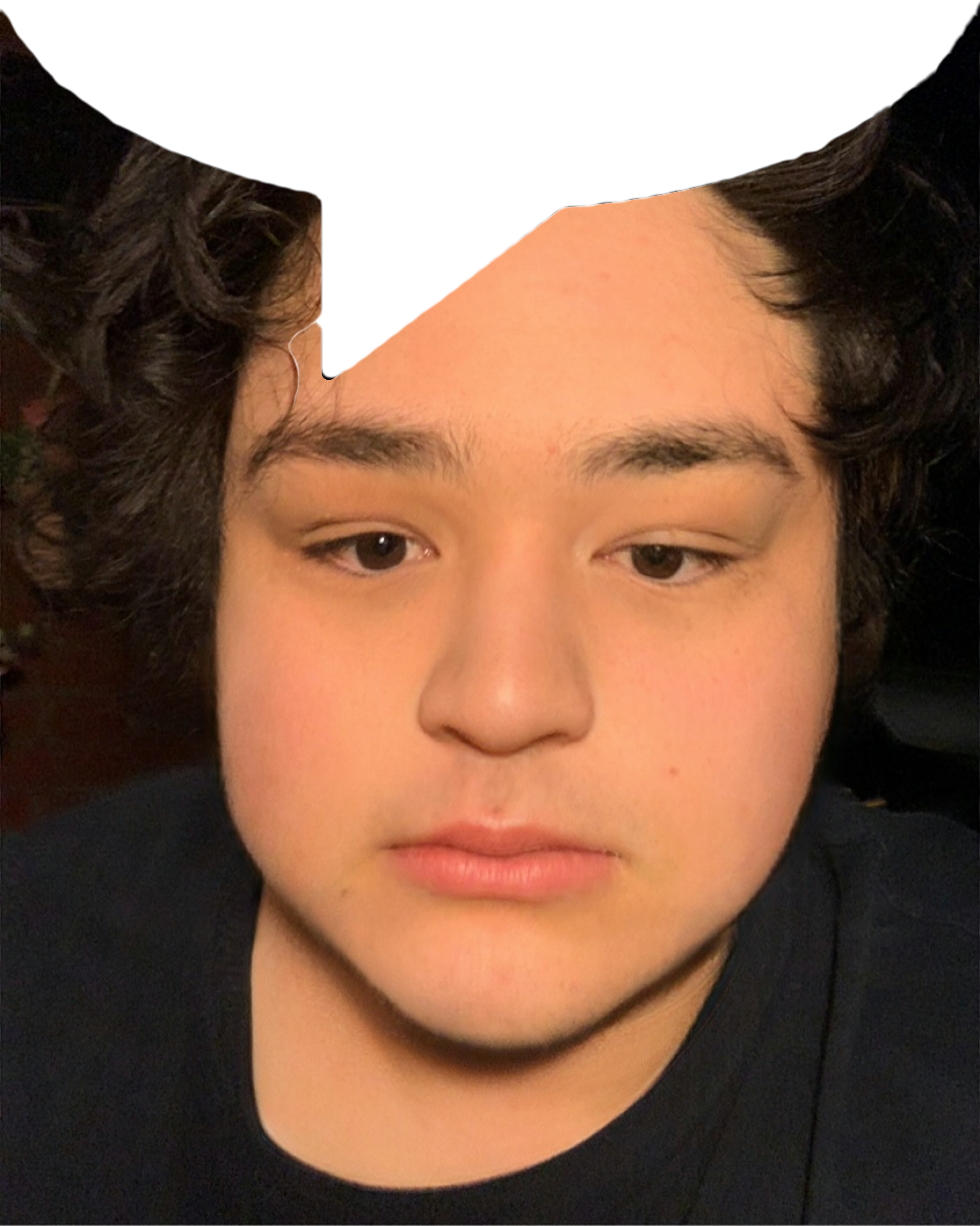 1000017649