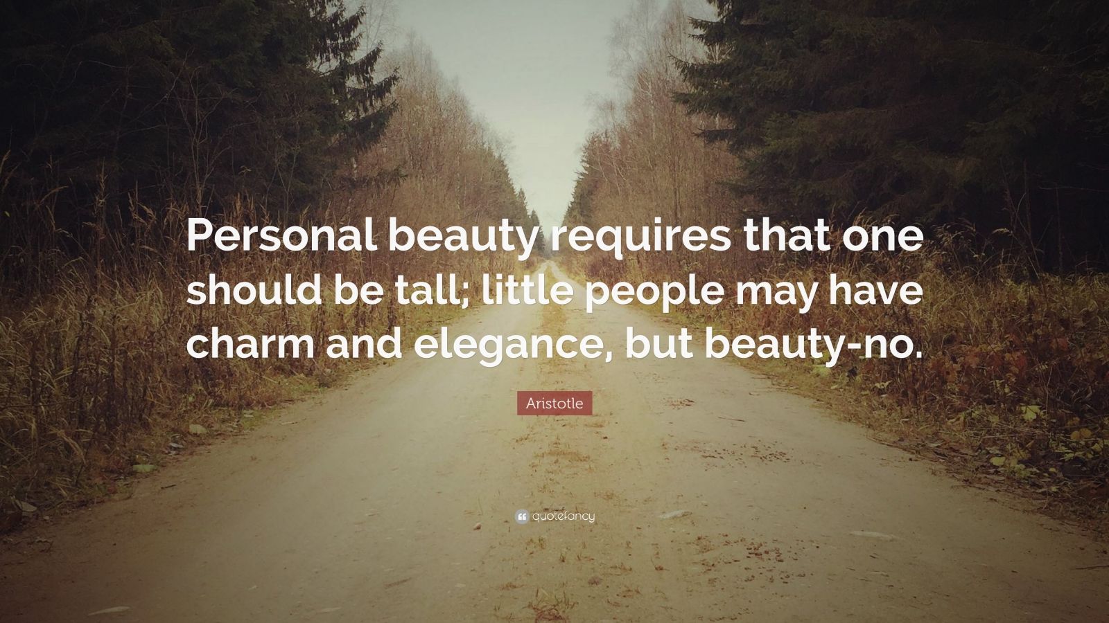 2875617 Aristotle Quote Personal beauty requires that one should be tall 2