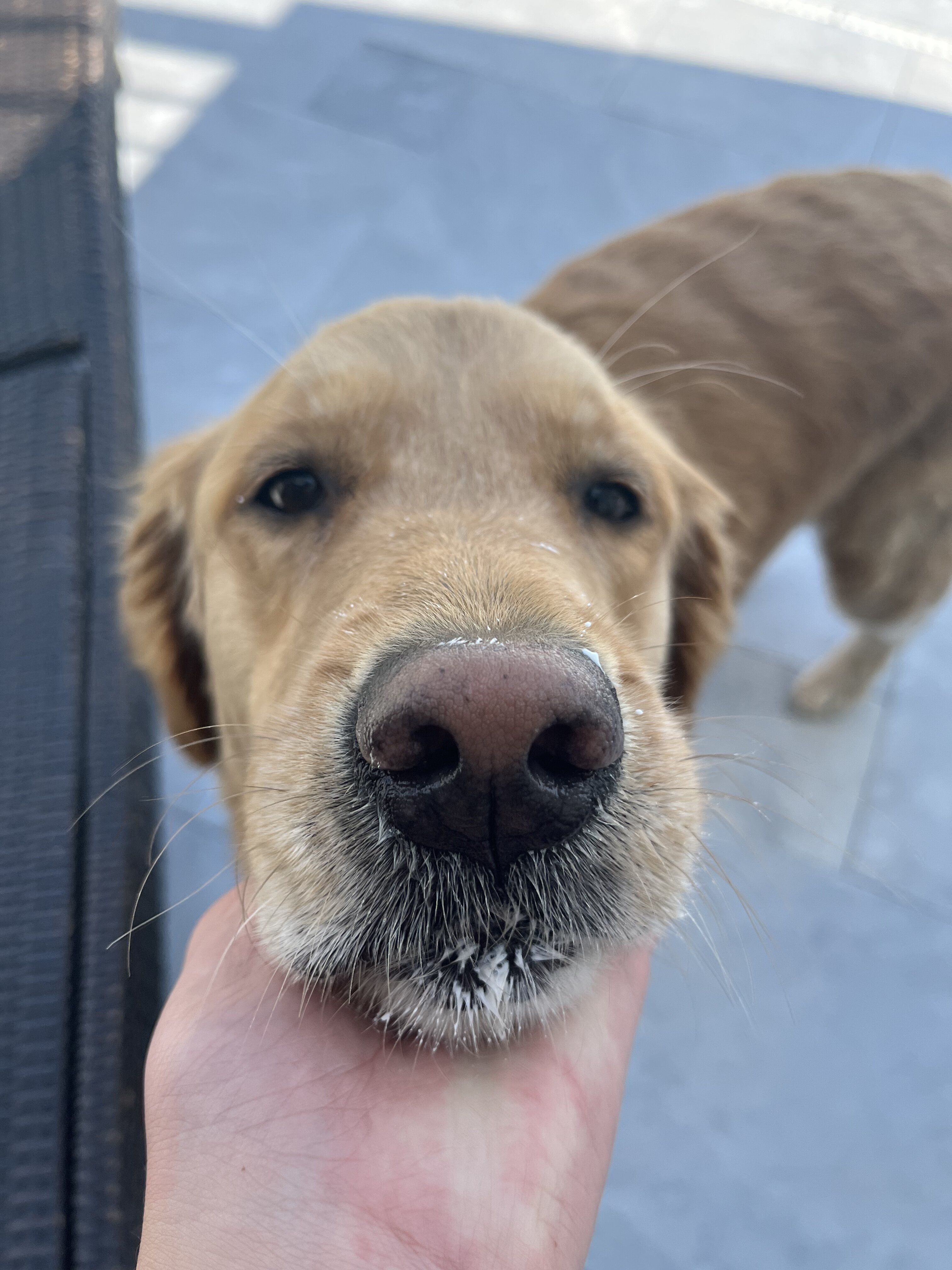 EEB3997E F4B8 44DF A71F 3545643B4A2C