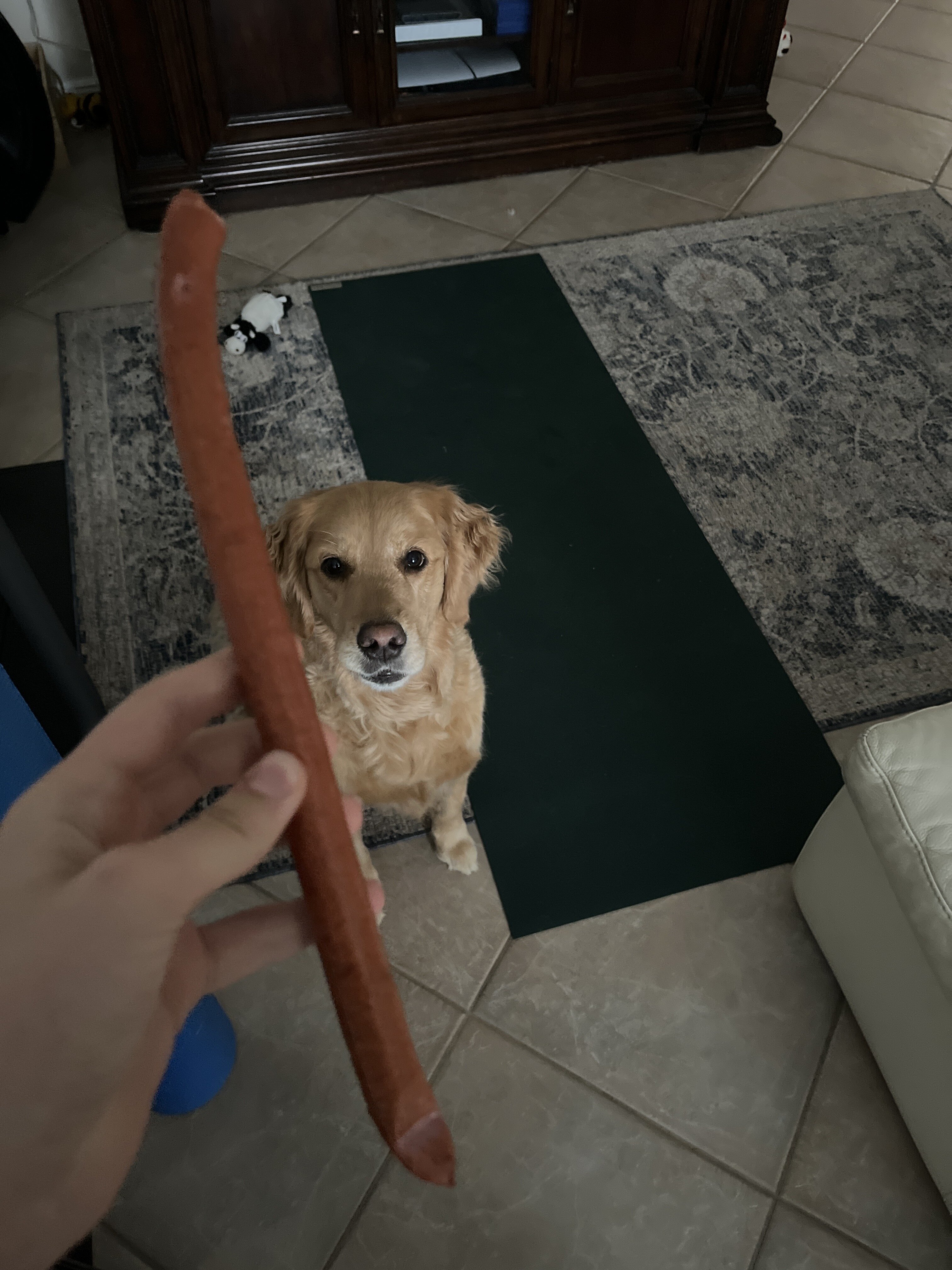 283F1E68 41DE 42A6 A66C 2E45812767F2