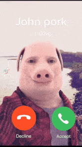 1743035888003
