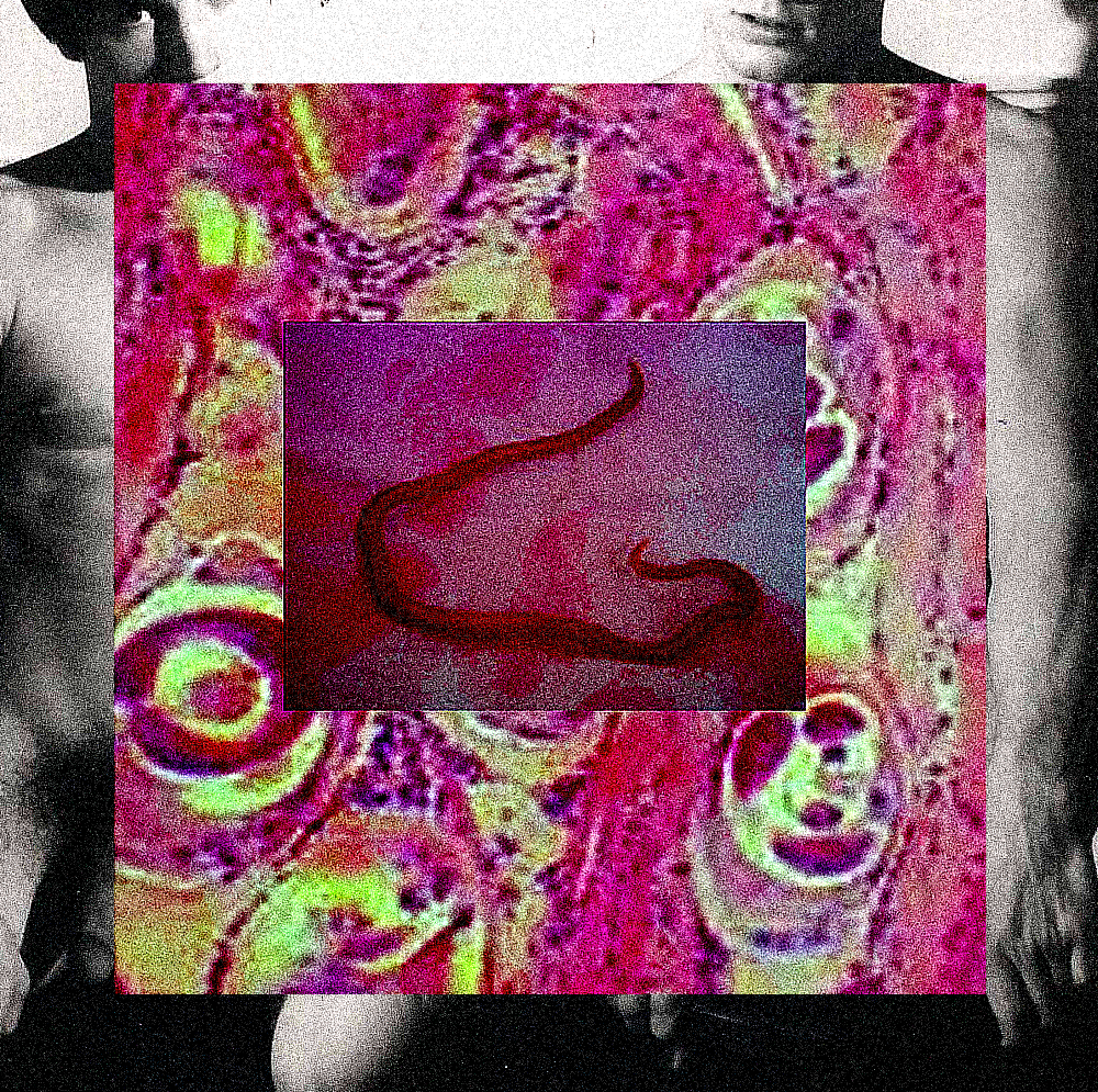 Tumblr 2d627388b63857b0e3096f3fed9a5e03 ea097fb9 1280