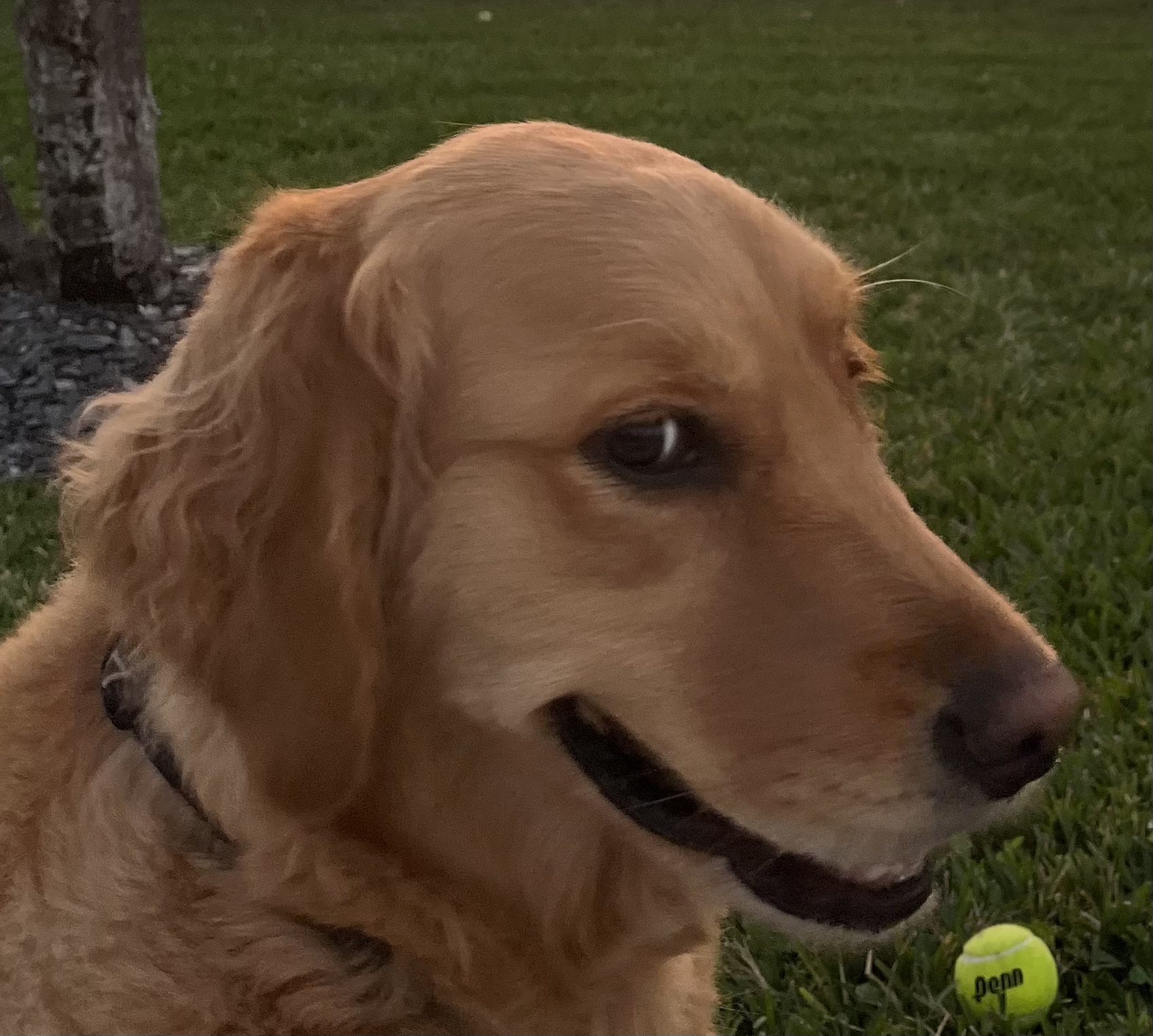 49C63B2F 6874 4460 95FC 0C2467CB8AD6