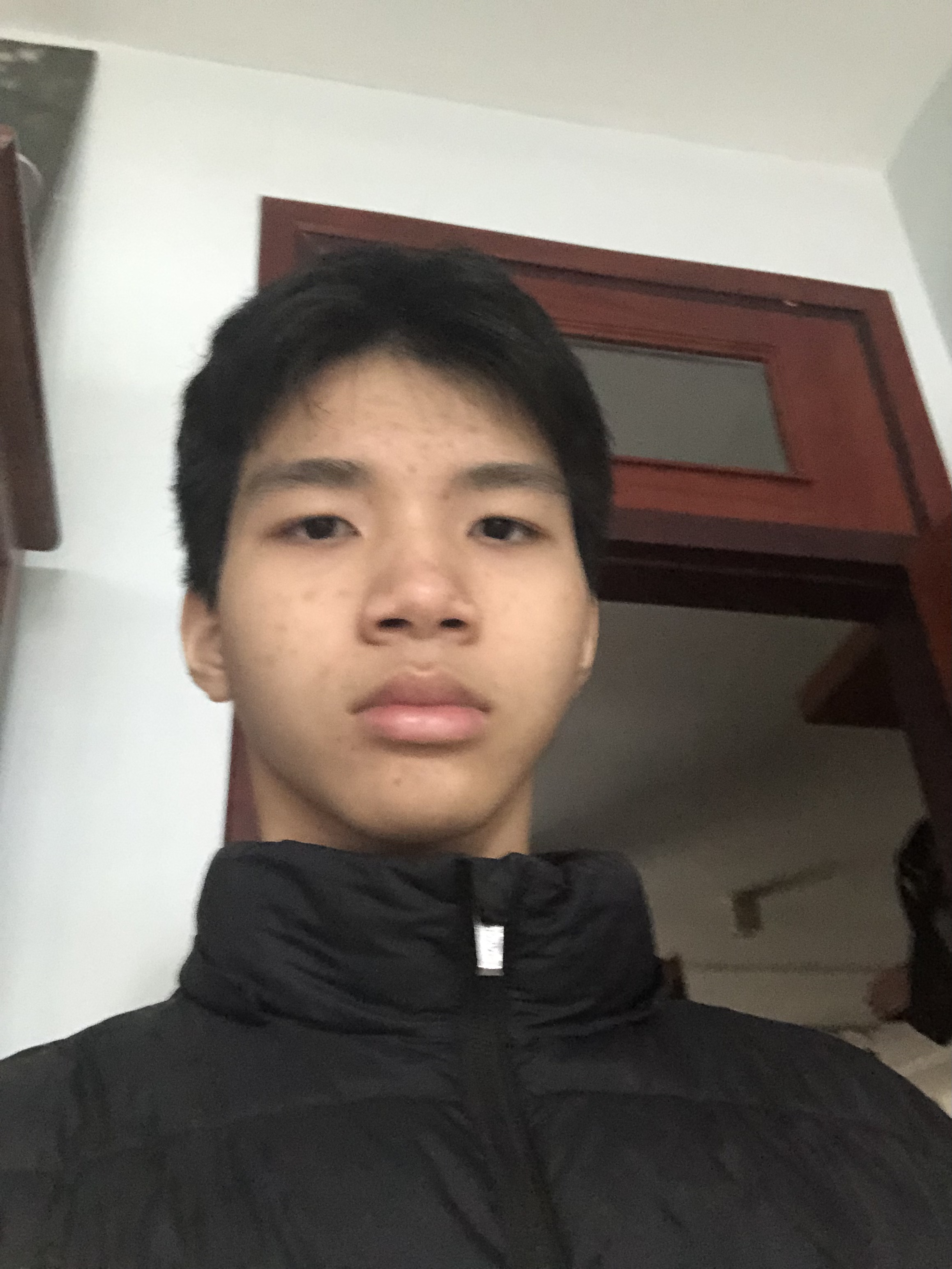 IMG 1181