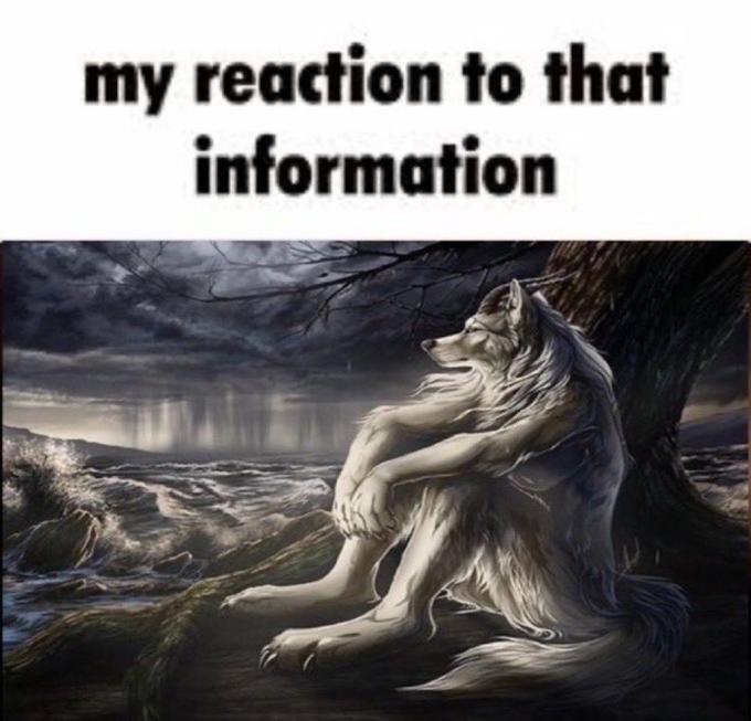 1743262484489