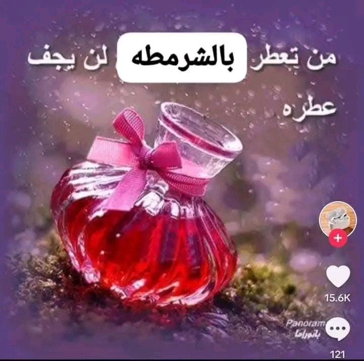 1740527456735