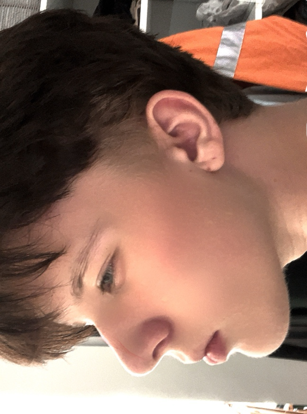 IMG 0026