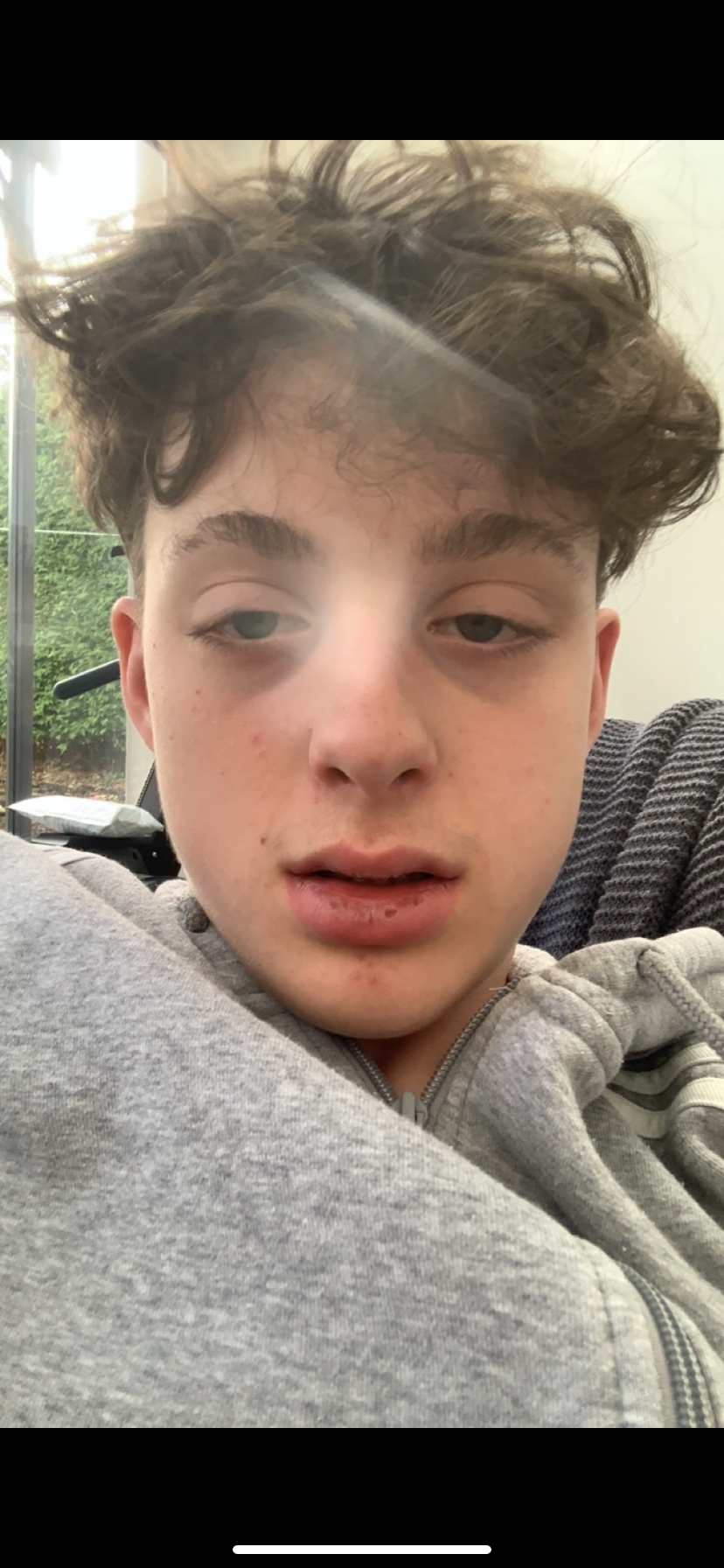 IMG 3533