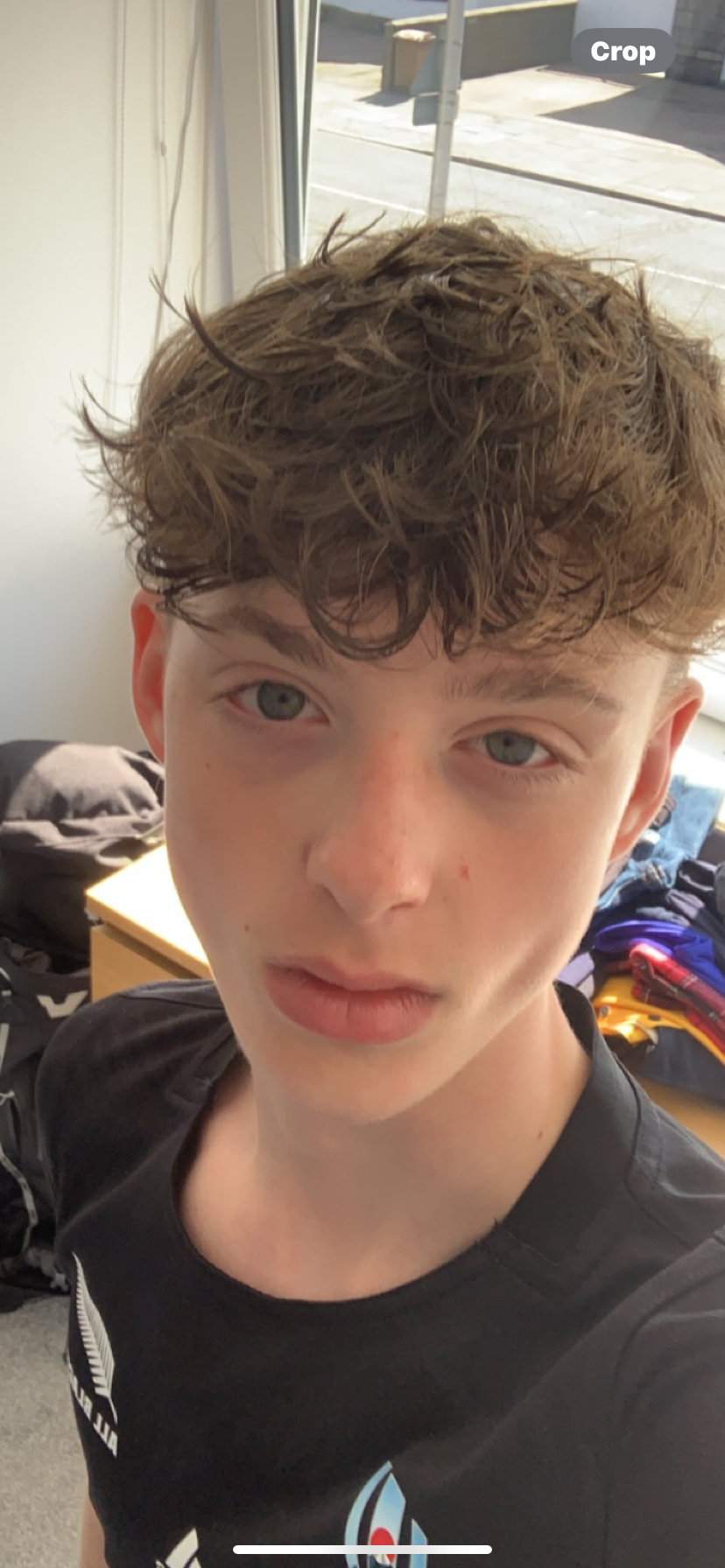 IMG 3546