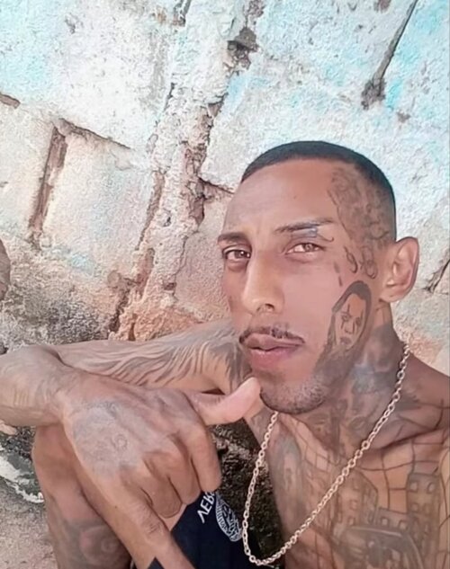 Screenshot 2025 03 03 15 22 18 245 comzhiliaoappmusically edit