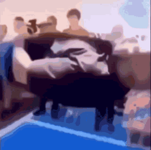 IMG_8435.gif