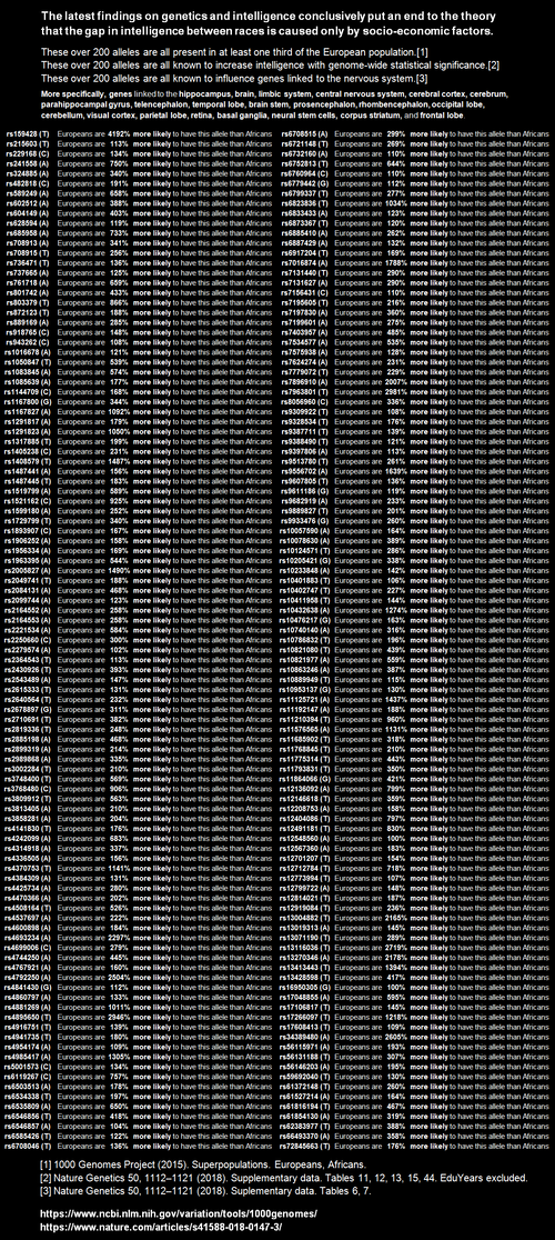 1741614353101y-2.png
