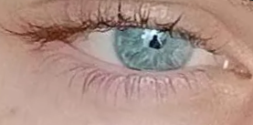 Screenshot 2025-03-10 141940.png