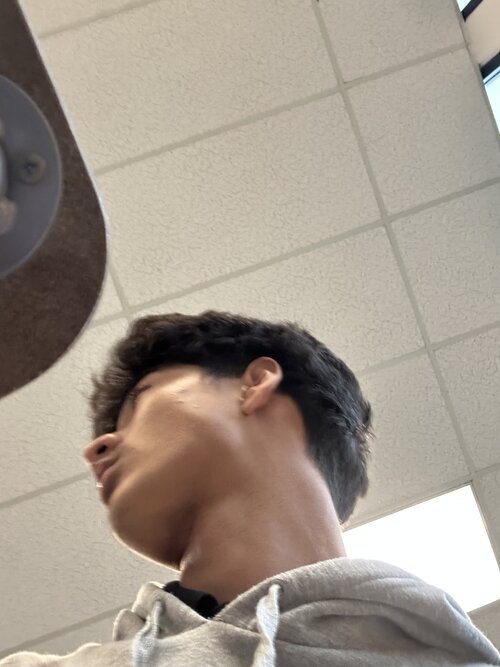IMG_3948.jpeg