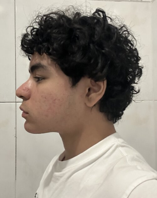IMG 2329