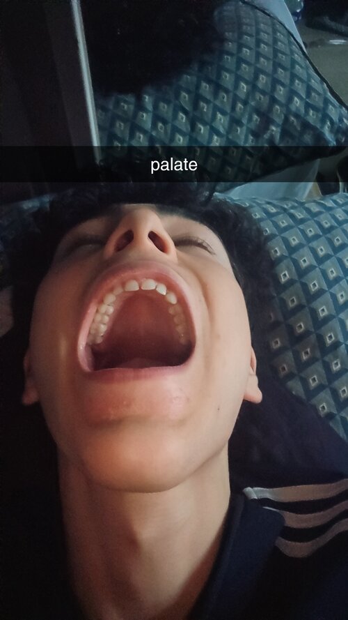 Snapchat-93925893.jpg