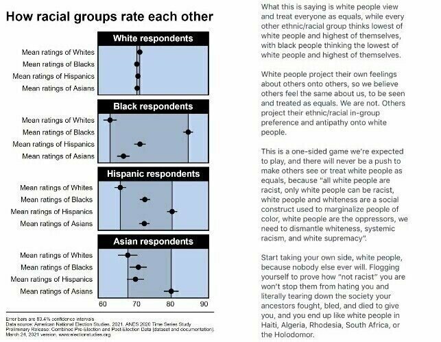 whiteegalitarianism.jpg