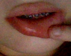 Screen Shot 2025-03-24 at 1.59.19 AM.png