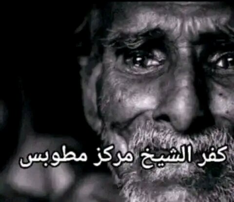 4820817 1732453253330