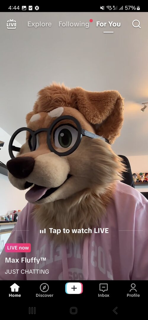 Screenshot_20250331_164423_TikTok.jpg