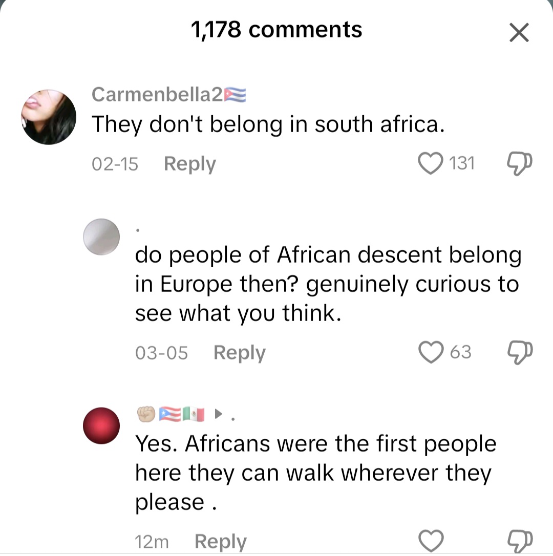 20250401 112941