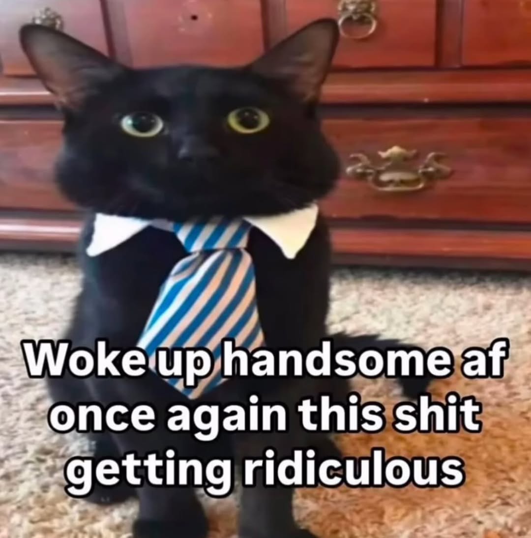 Snapinstapp 476392245 18079370620628311 2579229752924803213 n 1080