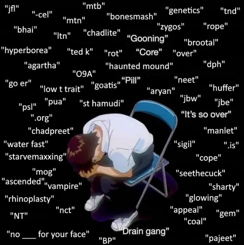 4547360 1733259752799