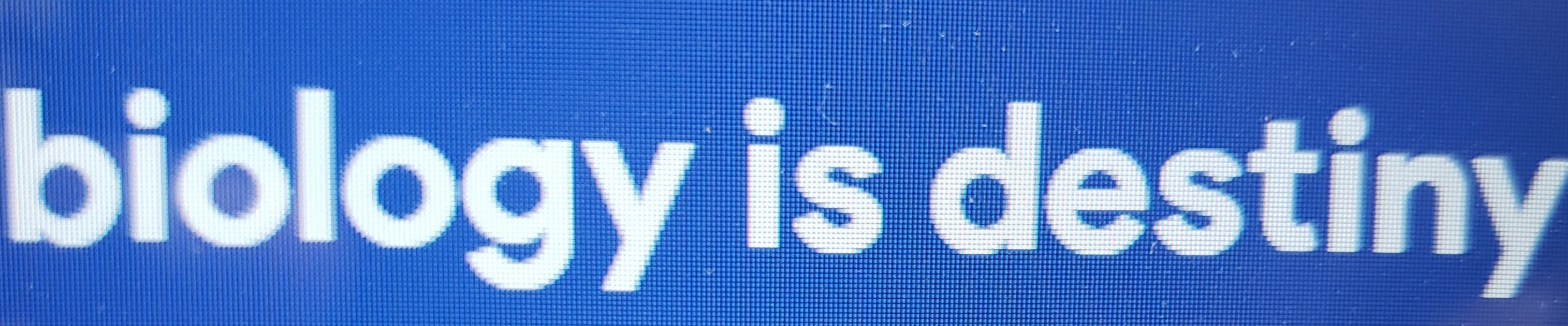 20250402 191454