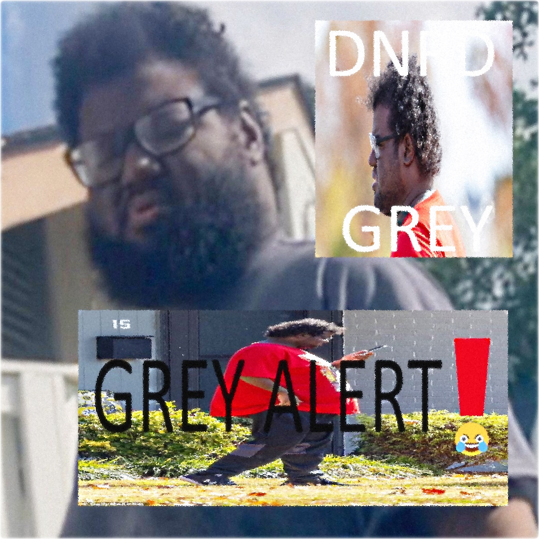 Dnrd grey 1