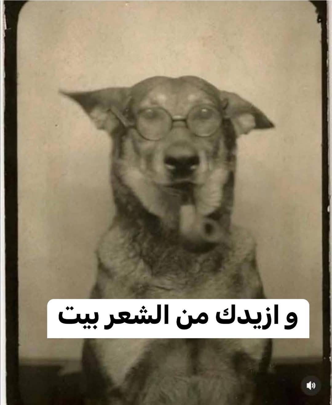 1000000430