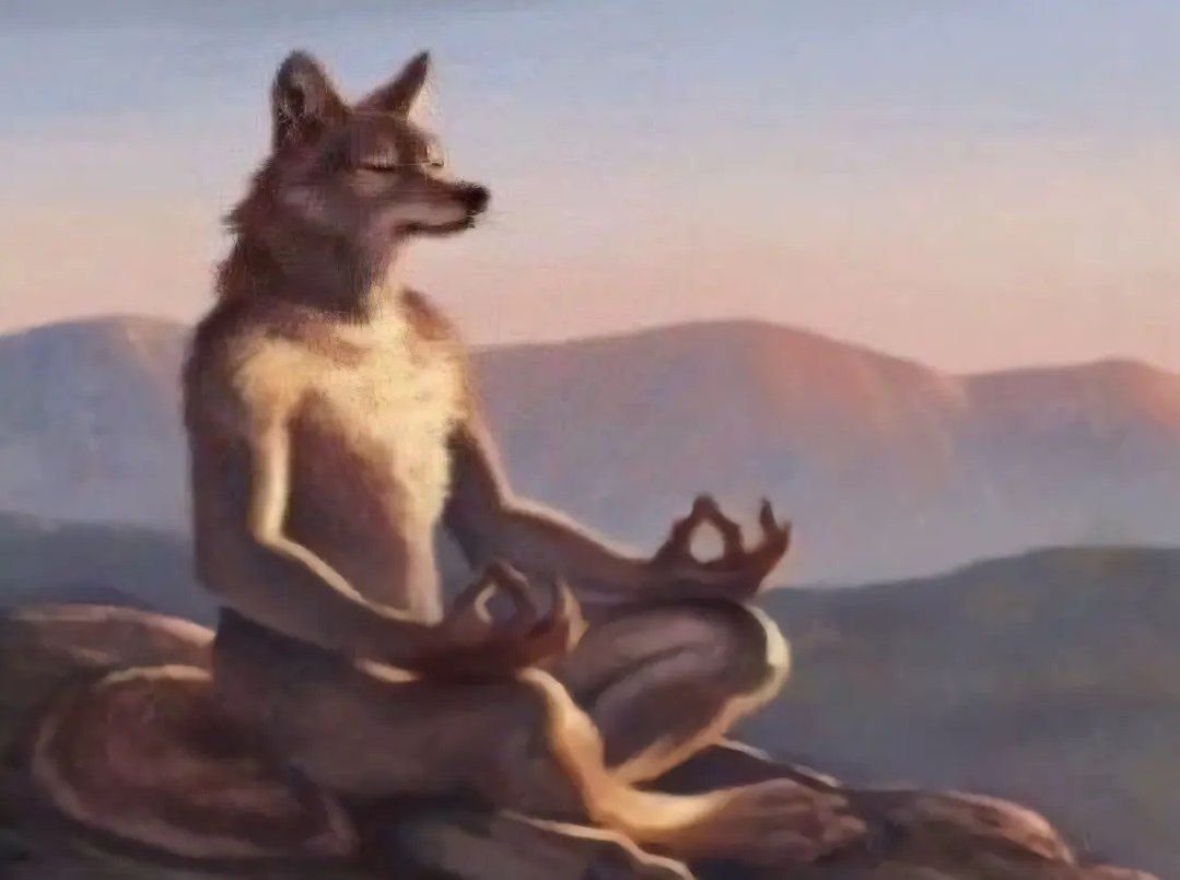 IMG 20250403 213956 772