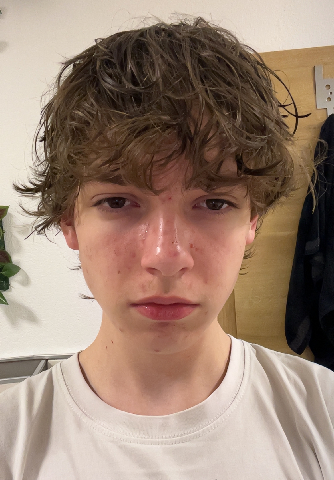 IMG 2510